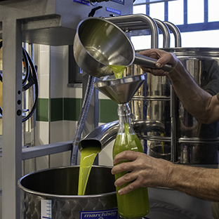 Frantoio Olio Calvi - Olio appena franto