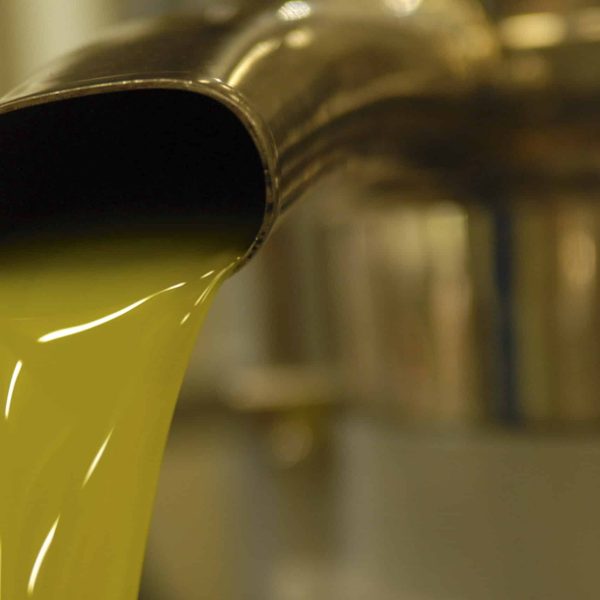 Olio-che-esce-dal-separatore.jpg-scaled.jpg